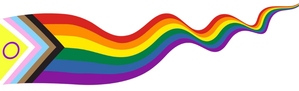 Drapeau de la fierté progressiste